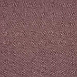 Cavendish Rose